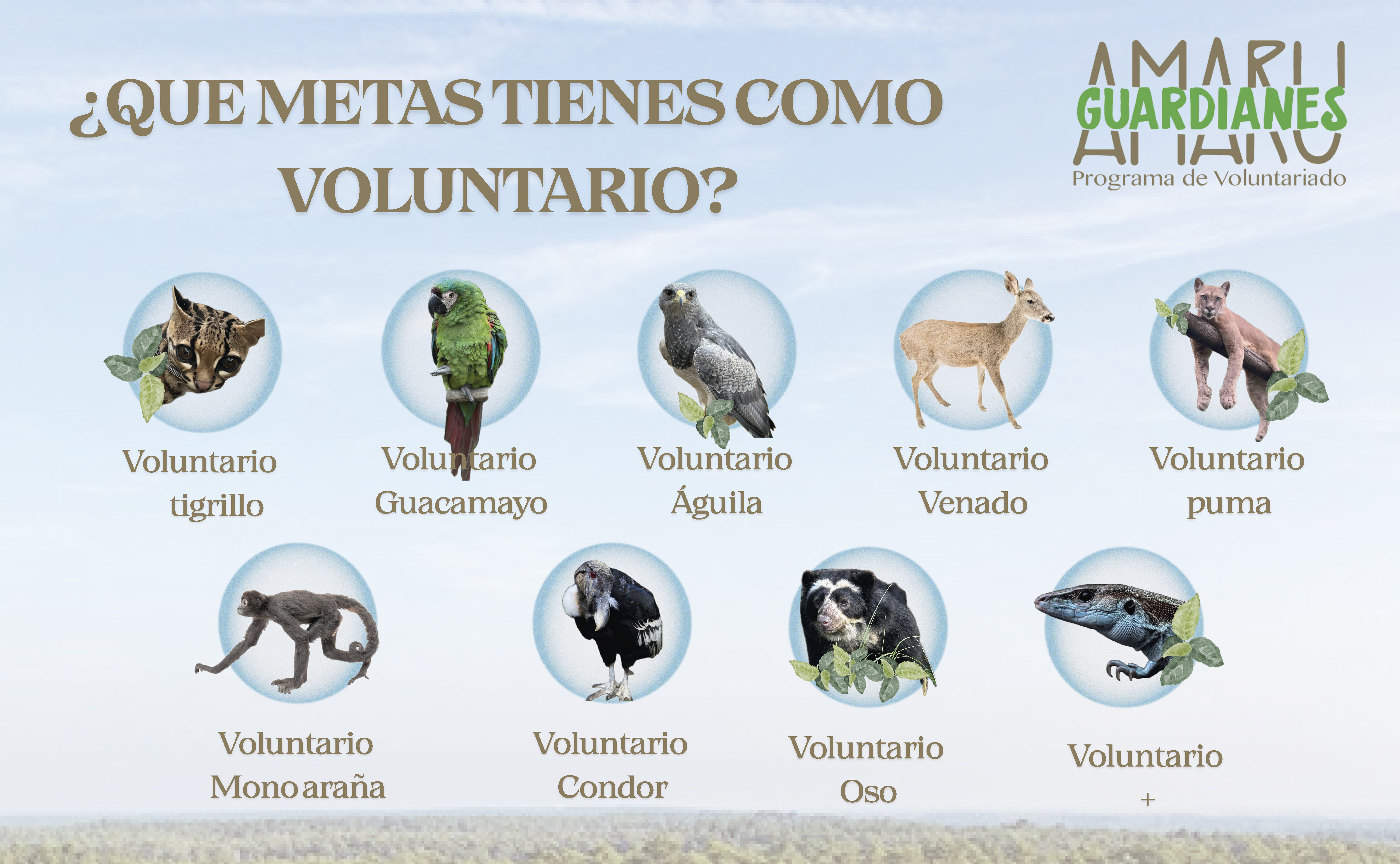 Voluntarios Nacionales - Amaru Bioparque Cuenca